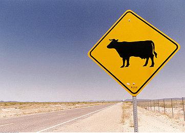 《泰拉瑞亚》成Steam首个百万评价、好评如潮游戏